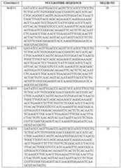 Figure imgf000054_0001