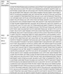 Figure imgf000072_0001