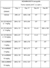 Figure imgf000028_0001