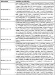 Figure imgf000487_0001