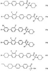 Figure 112010051363261-pct00020