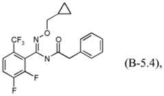 Figure imgf000011_0002