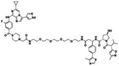 Figure BDA0002964098100002091