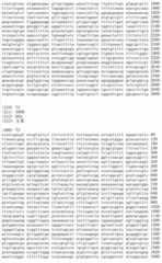 Figure IDA00002091897100851