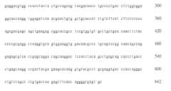 Figure 107105368-A0305-02-0053-17