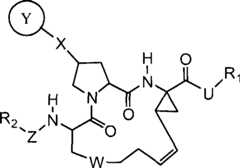 Figure G2008101743025D00021