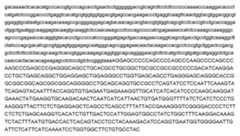 Figure imgf000215_0001