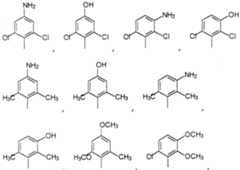 Figure imgf000016_0001