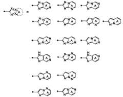 Figure JPOXMLDOC01-appb-C000042
