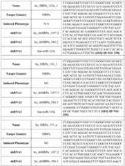 Figure imgf000170_0001