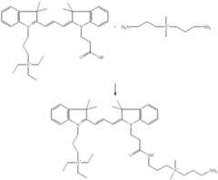 Figure US06348599-20020219-C00020