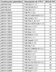 Figure imgf000012_0001