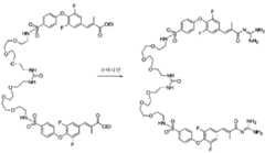 Figure 112011059052603-pct00199