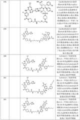 Figure BDA0002964098100003091