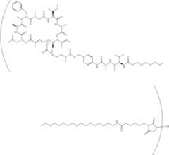 Figure US10472395-20191112-C00476