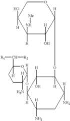 Figure US06174656-20010116-C00044