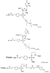 Figure imgf000261_0001