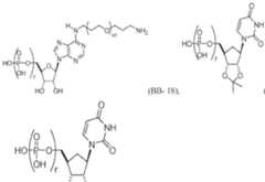 Figure imgf000632_0001