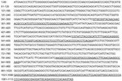 Figure DEST_PATH_IMAGE015