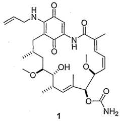 Figure imgf000020_0001