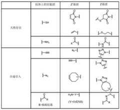 Figure BDA0003429348370000311