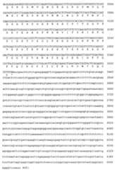 Figure 112002525353199-pct00005