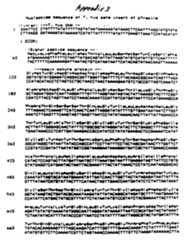 Figure imgf000063_0001