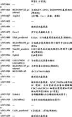 Figure BDA0000057170160001061