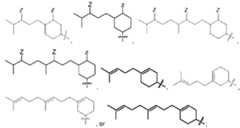 Figure imgf000007_0001