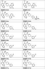 Figure FDA0003289571880000251