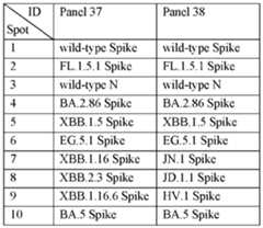 Figure imgf000042_0001