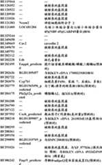 Figure BDA0000057170160001631