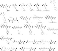 Figure PCTCN2022073822-appb-000306
