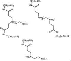 Figure A20068002978801721