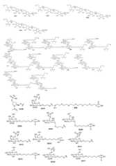 Figure imgf000118_0001