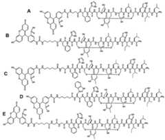 Figure imgf000119_0001