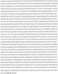 Figure GDA0002870045410000821