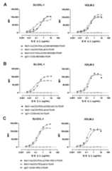 Figure P1020247014743