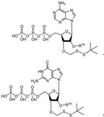 Figure BDA0003670511740002002