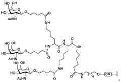 Figure BDA0003357312860006241