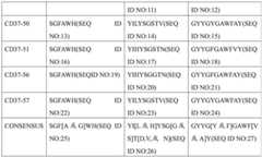 Figure GDA0002332994560000291