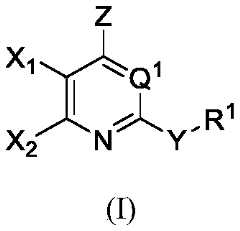 Figure PCTCN2022124111-appb-000001