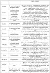 Figure PCTCN2022090268-appb-000064