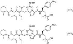 Figure imgf000048_0001