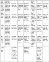 Figure imgf000070_0001