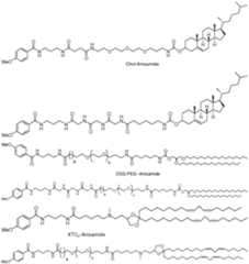 Figure imgf000206_0001