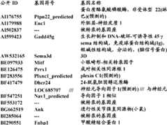 Figure BDA0000057170160000742