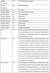 Figure imgf000095_0001