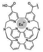 Figure DEST_PATH_IMAGE027