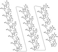 Figure FDA0003817829460000121